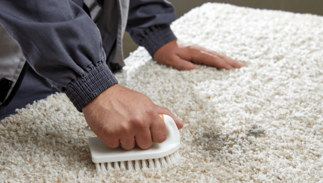 Rug Cleaning